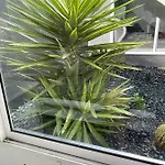 Apartamento Sea View 2-bedroom Colony Club Puerto del Carmen (Lanzarote)