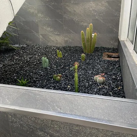 شقة Sea View 2-bedroom Colony Club *