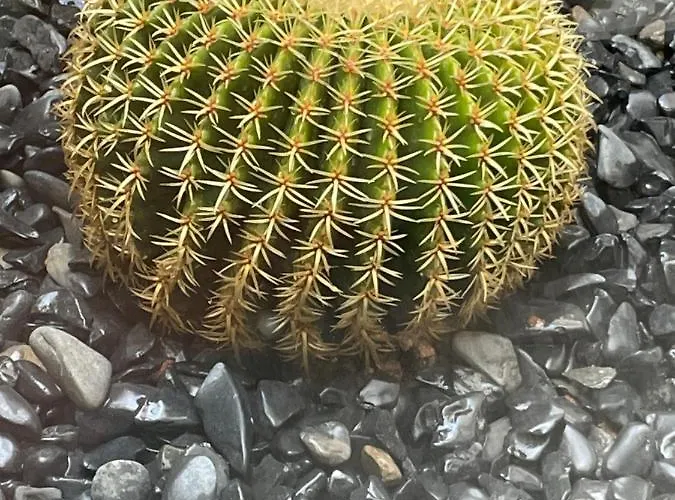 Sea View 2-bedroom Colony Club بويرتو ذيل كارمين