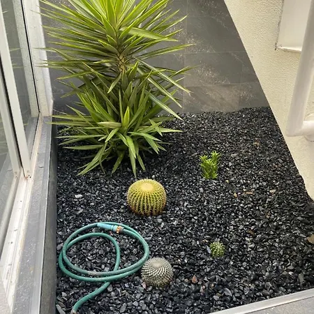 Sea View 2-bedroom Colony Club Apartment *