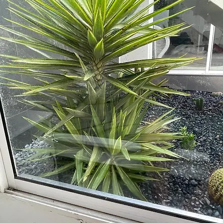 Appartement Sea View 2-bedroom Colony Club Puerto del Carmen (Lanzarote)